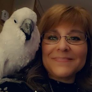 Meet your Posher, Lori